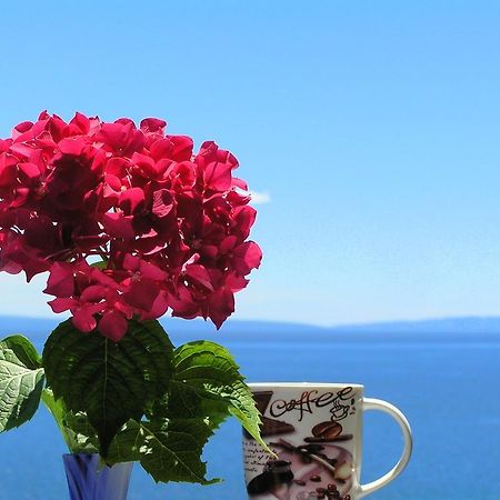 Guest House Lifestyle Holiday Opatija Bilik gambar