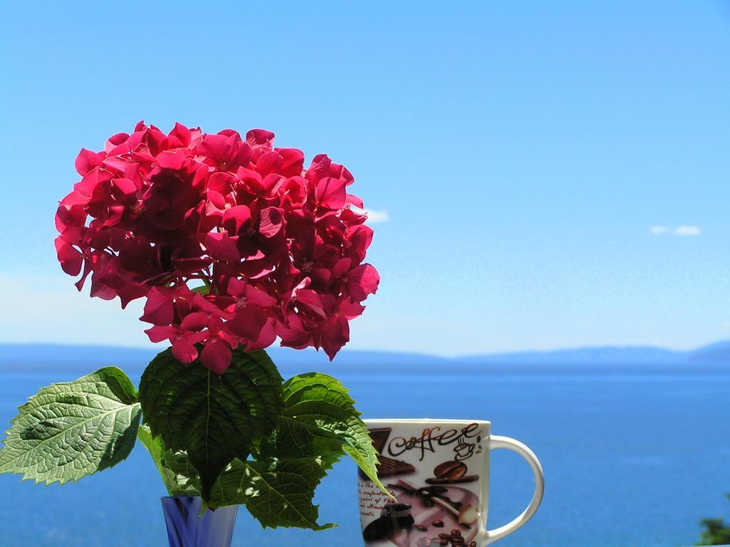 Guest House Lifestyle Holiday Opatija Bilik gambar