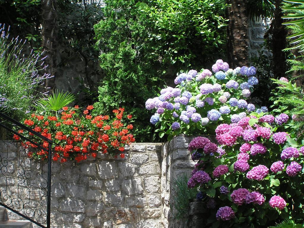 Guest House Lifestyle Holiday Opatija Luaran gambar